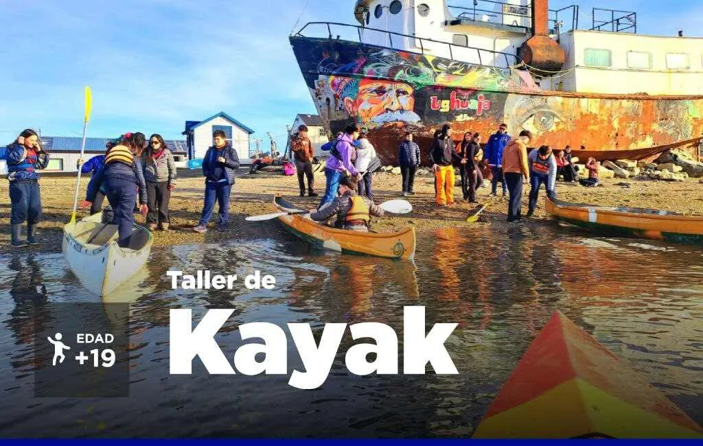 photo_4965420139566271305_y-1