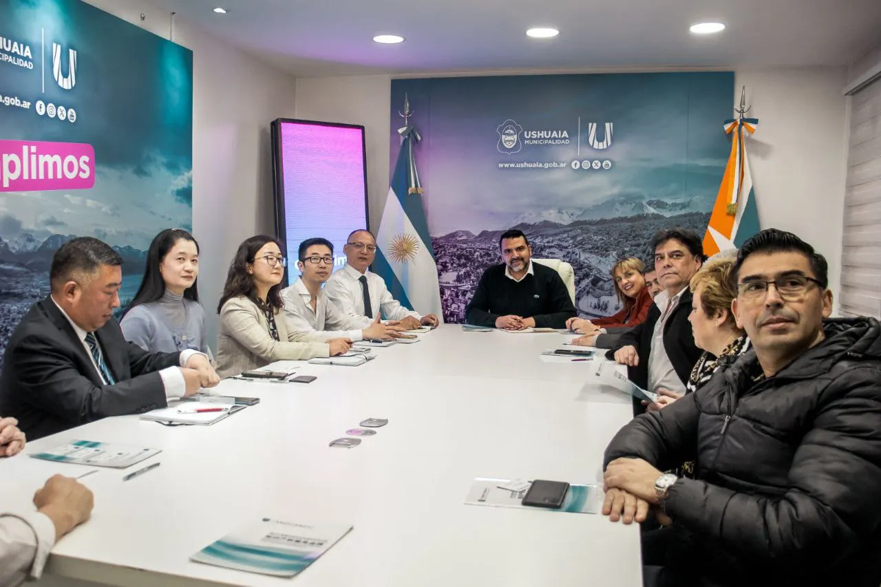 photo_4945471429516832141_y