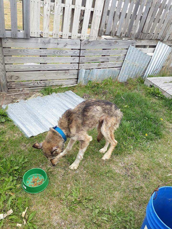 28381507_1793784140672759_1778368815_n