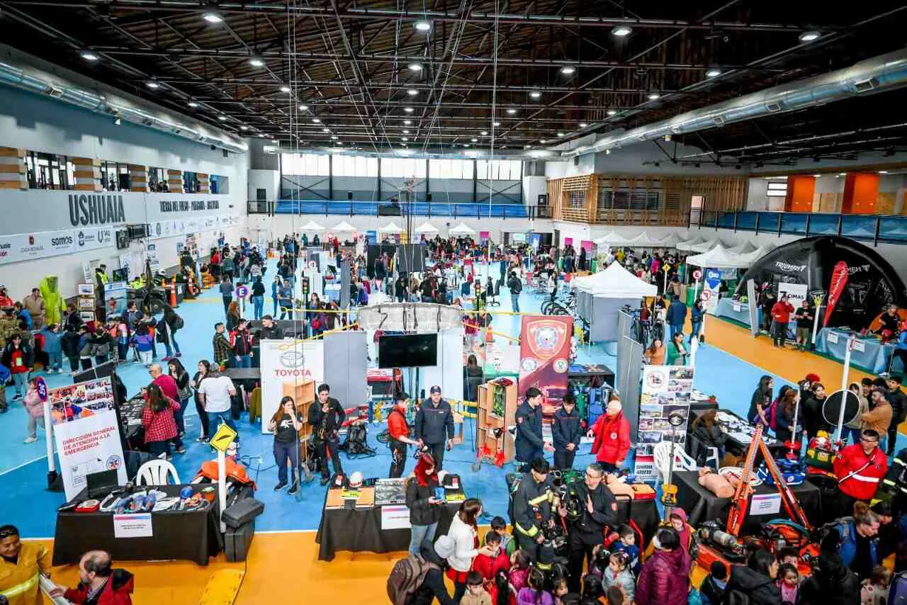 photo_5019419779827608778_y-1