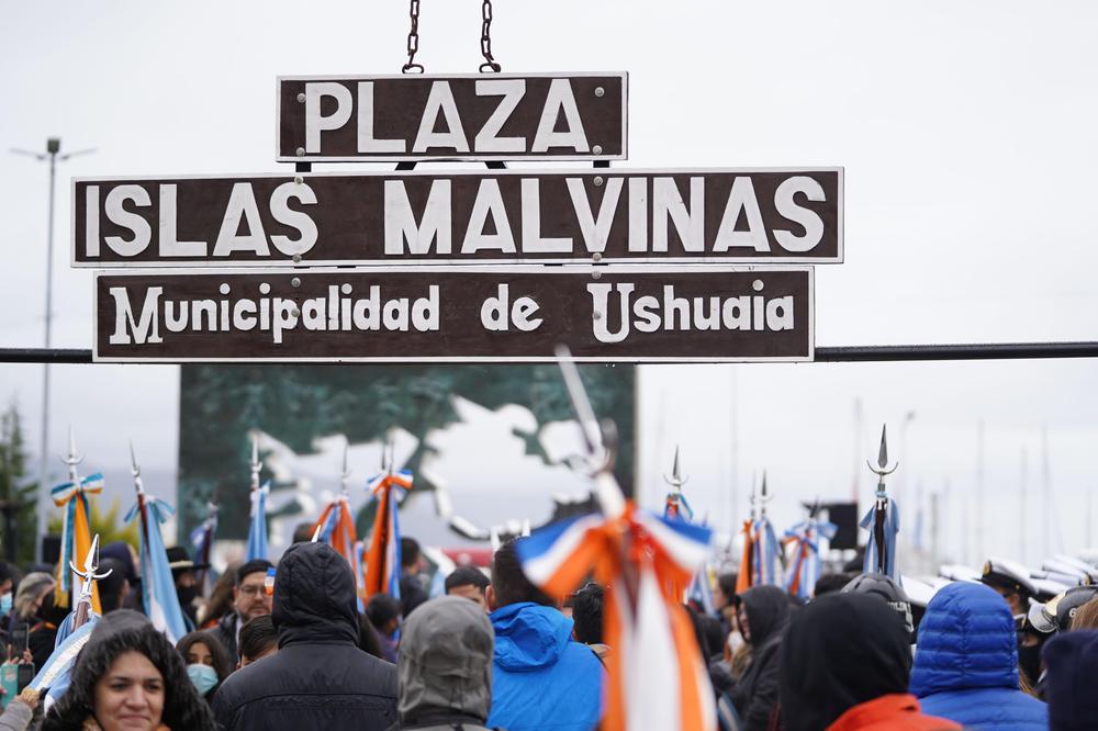 Cápsula2