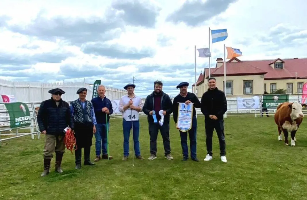 photo_4985609432205036377_y-1