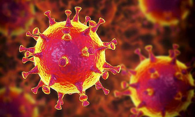 3536-imagen-coronavirus_alimentacion