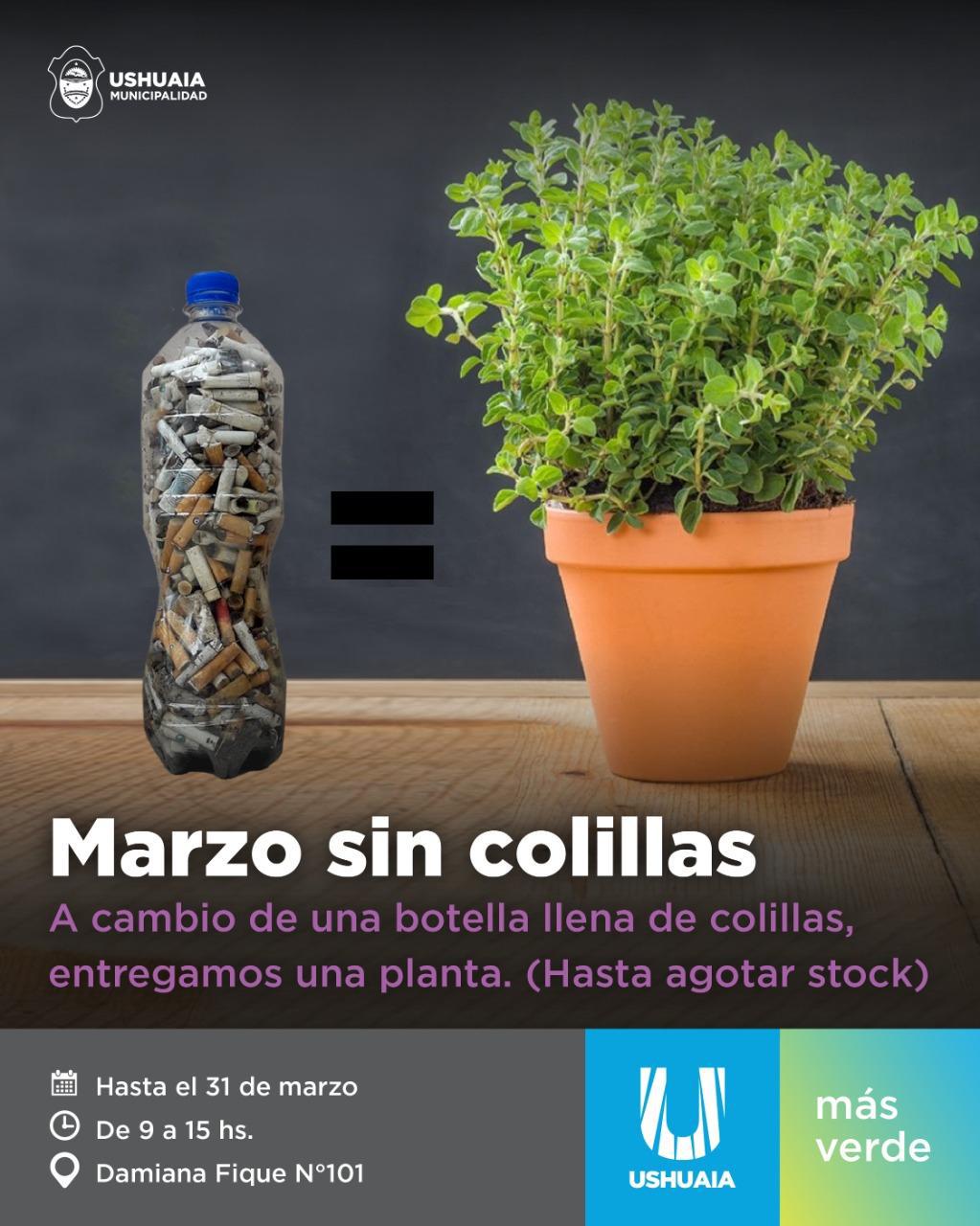 COLILLAS