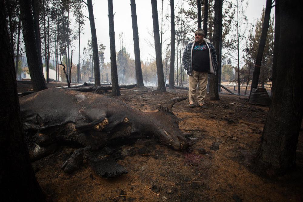 GPA_IncendiosChubut_05