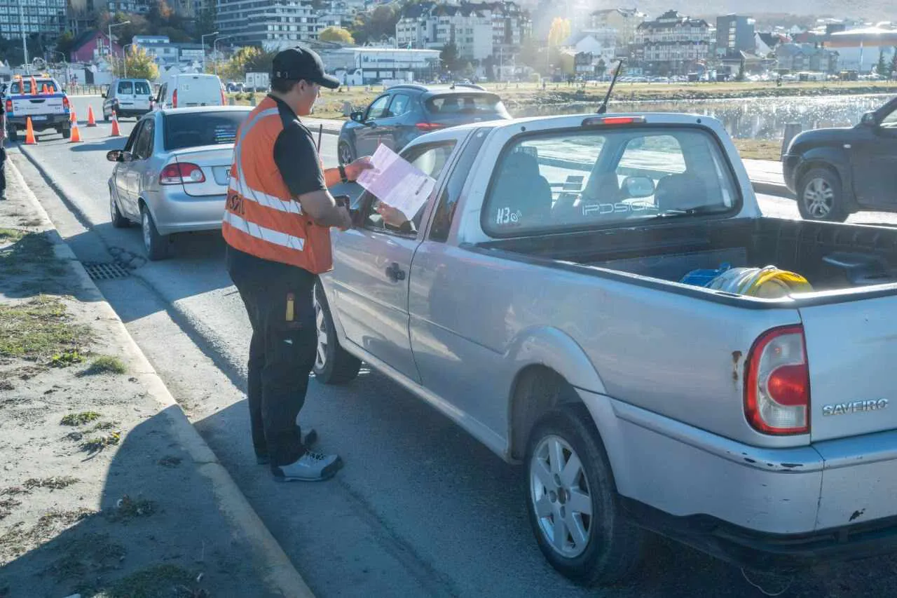 photo_5170580900407258449_y-1