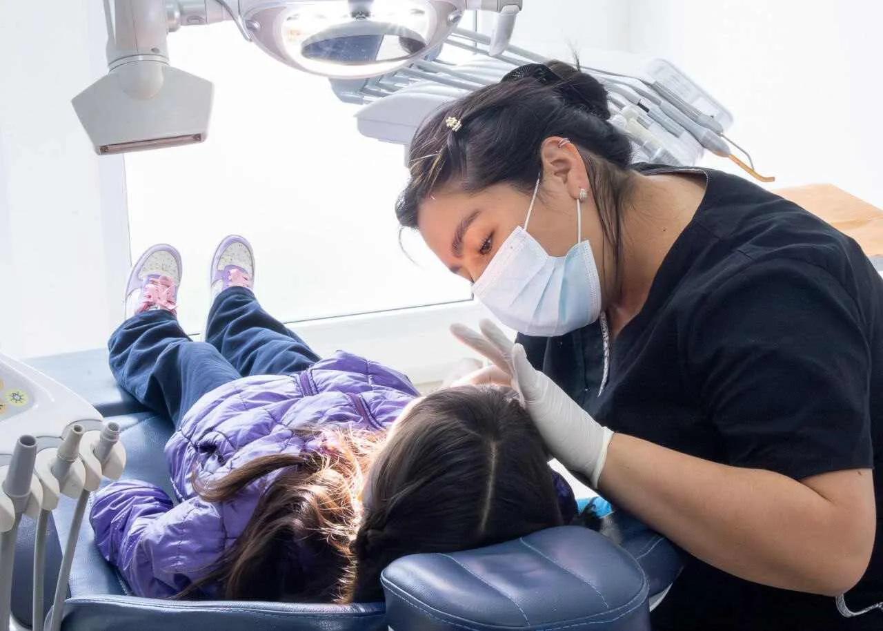 photo_5041845784059948501_y-1