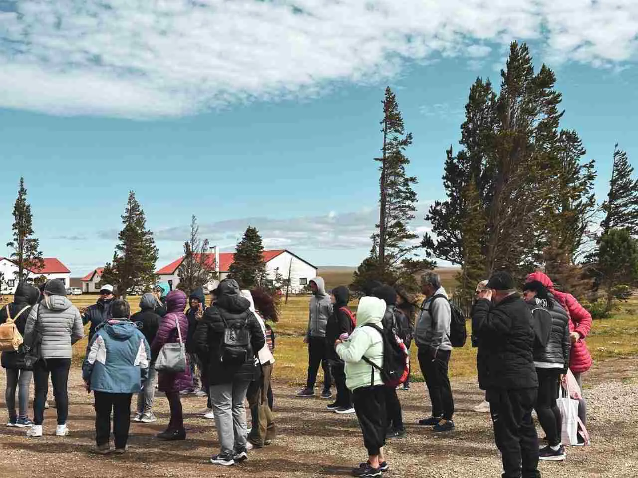 photo_5172502284095654842_y-1