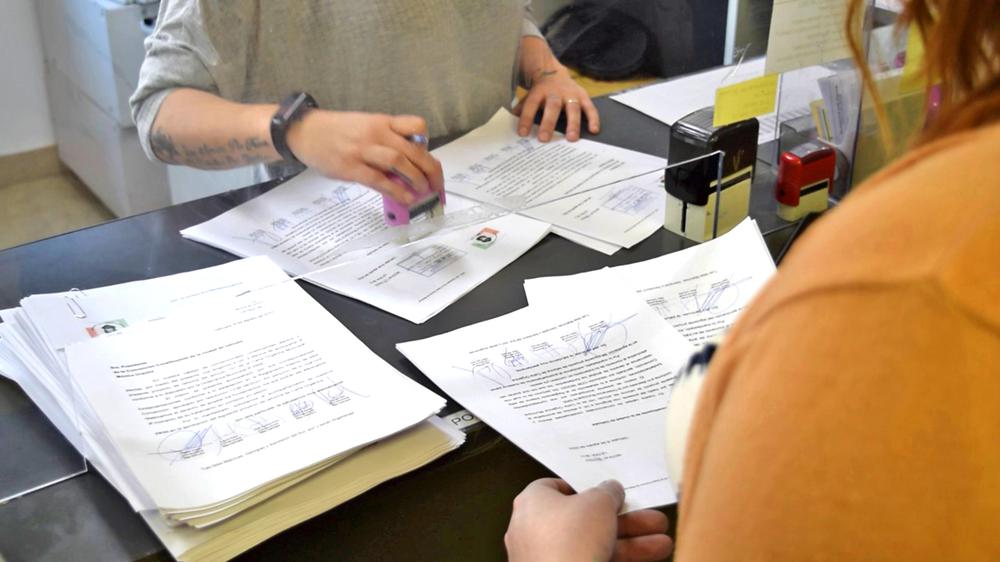 Boletín1