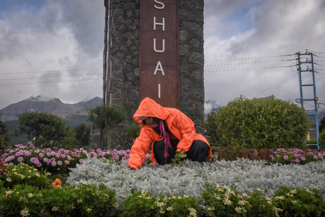 F